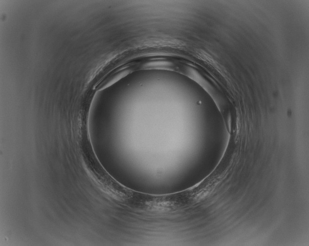 X0000067370448200603311149