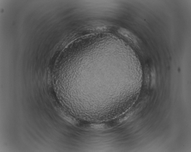X0000067370457200603311149