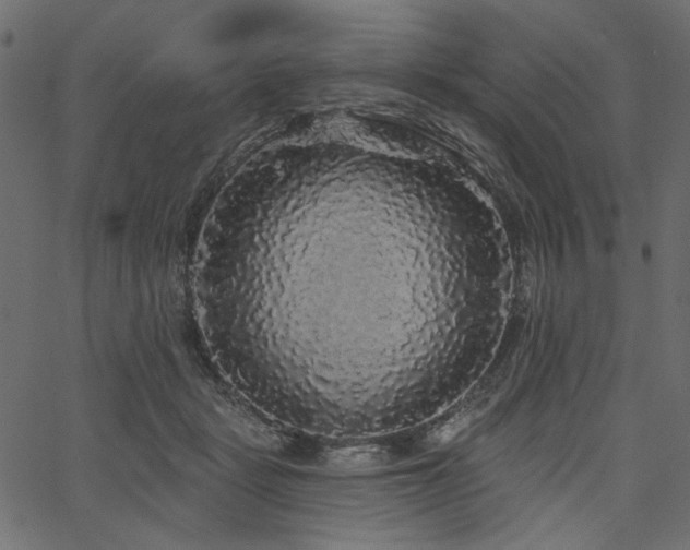 X0000067370461200603311150