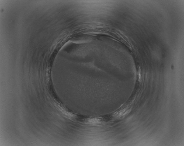 X0000067370462200603311150