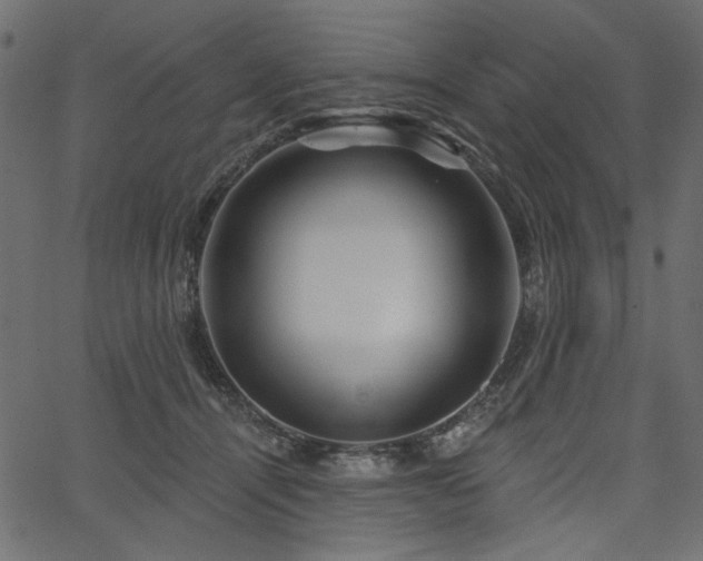 X0000067370464200603311150