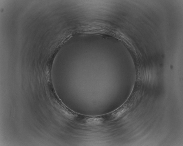 X0000067370465200603311150