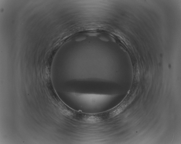 X0000067370467200603311150