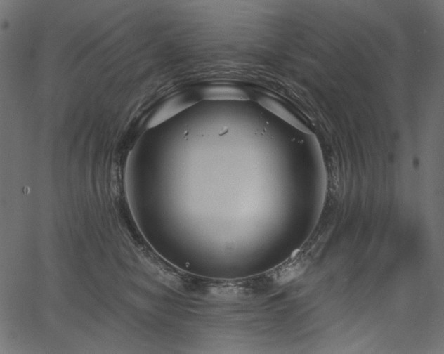 X0000067370470200603311150