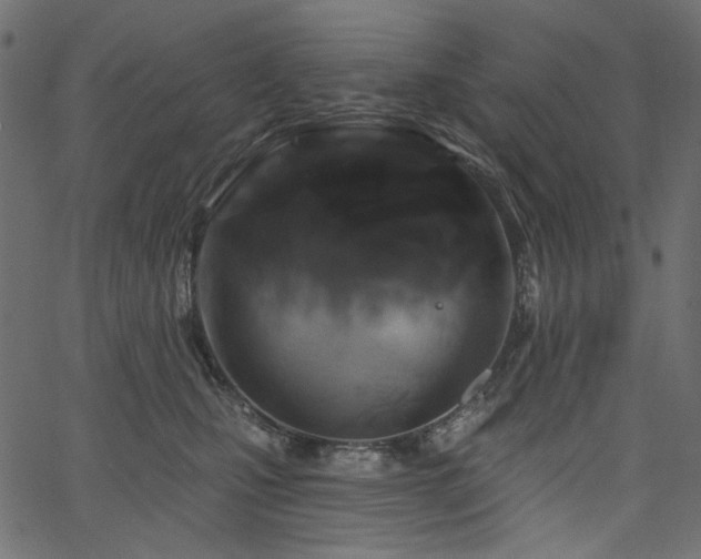 X0000067370471200603311150