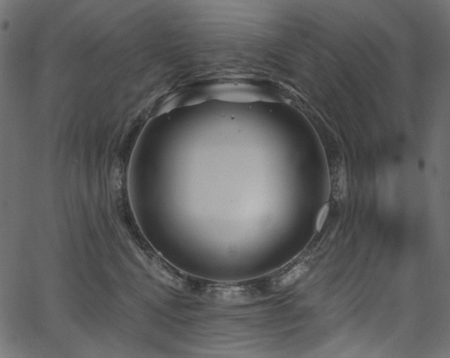 X0000067370472200603311150
