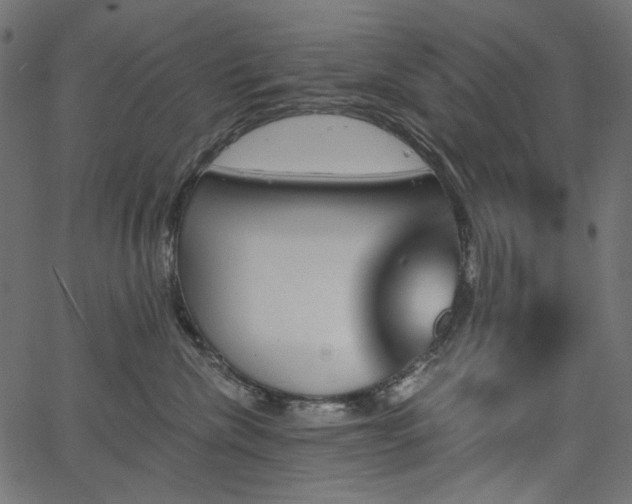X0000067370476200603311150