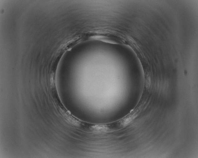X0000067370477200603311150