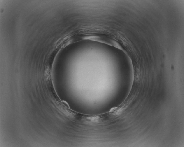 X0000067370478200603311150