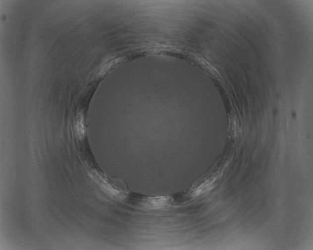 X0000067370479200603311150