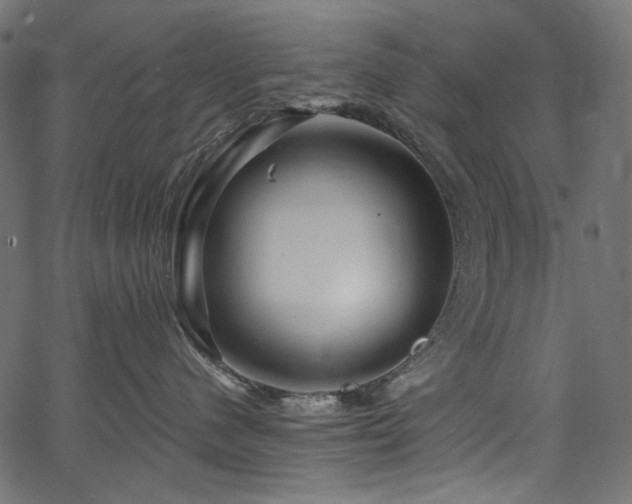 X0000067370480200603311150