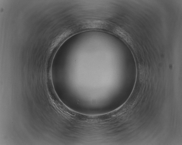 X0000067370482200603311149