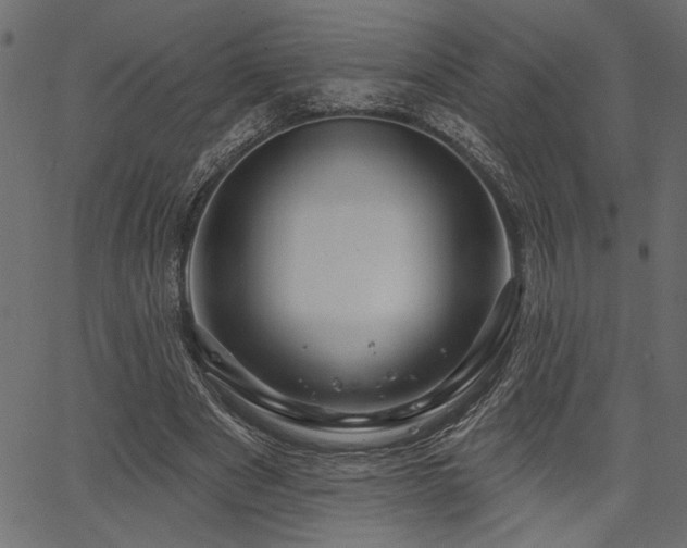 X0000067370489200603311149
