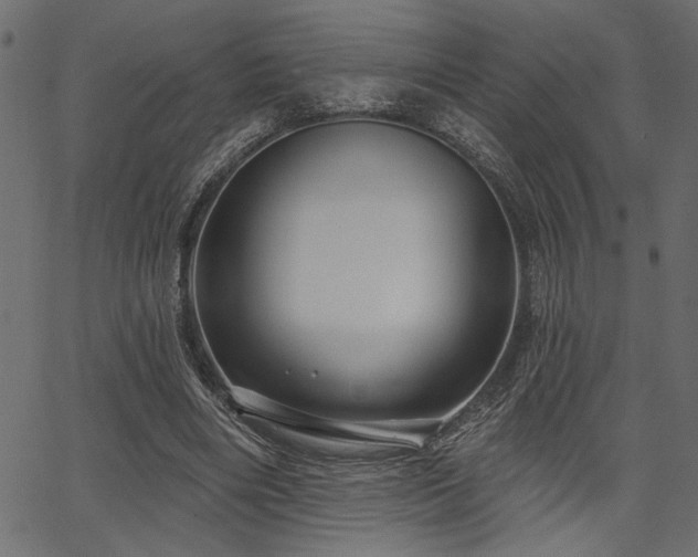 X0000067370490200603311149
