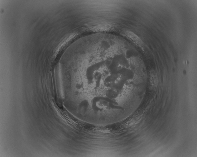 X0000067370491200603311149