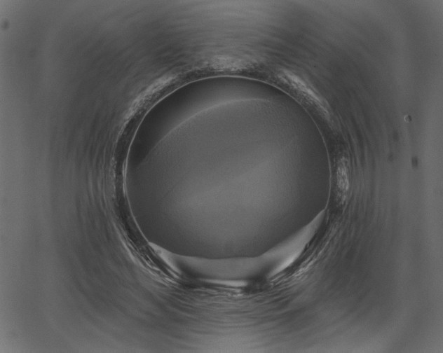 X0000067370492200603311149