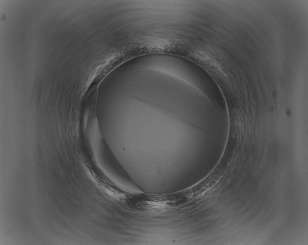 X0000067370496200603311149