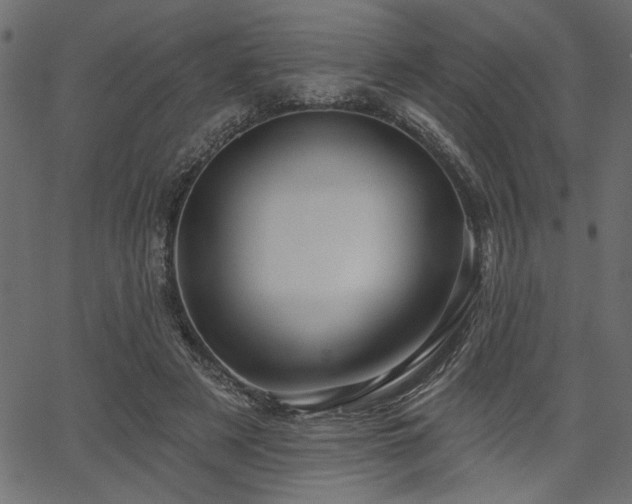 X0000067370497200603311149