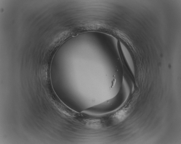 X0000067370501200603311149