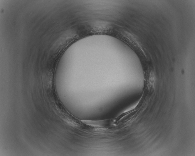 X0000067370505200603311149