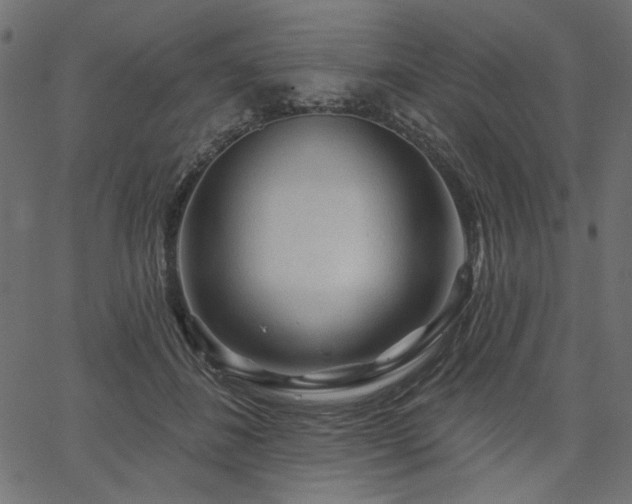 X0000067370508200603311149
