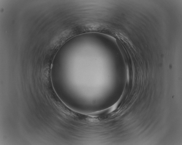 X0000067370509200603311149