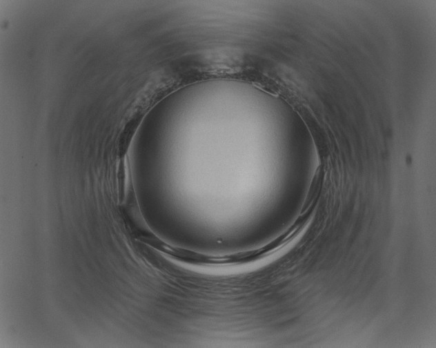 X0000067370512200603311149