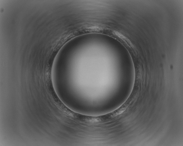 X0000067370513200603311149