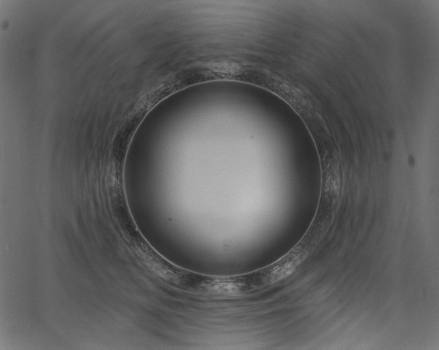 X0000067370518200603311148