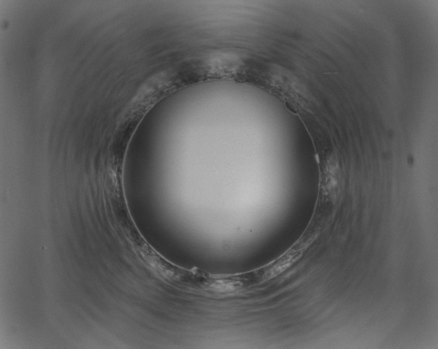 X0000067370522200603311148
