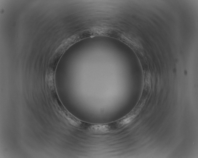 X0000067370526200603311148
