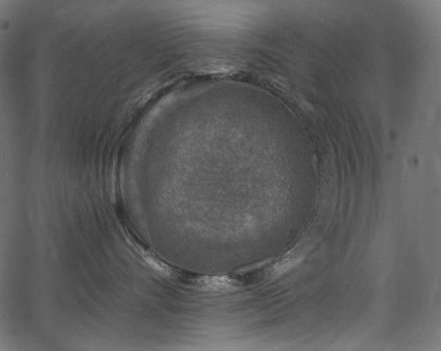 X0000067370528200603311148