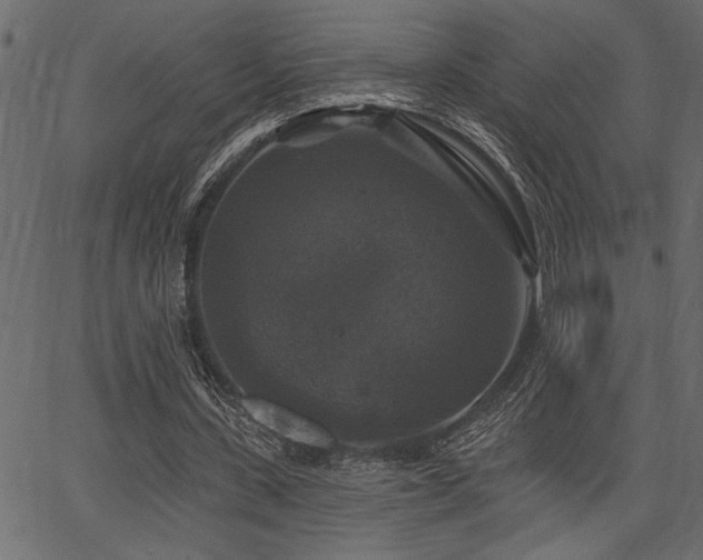 X0000067370531200603311147