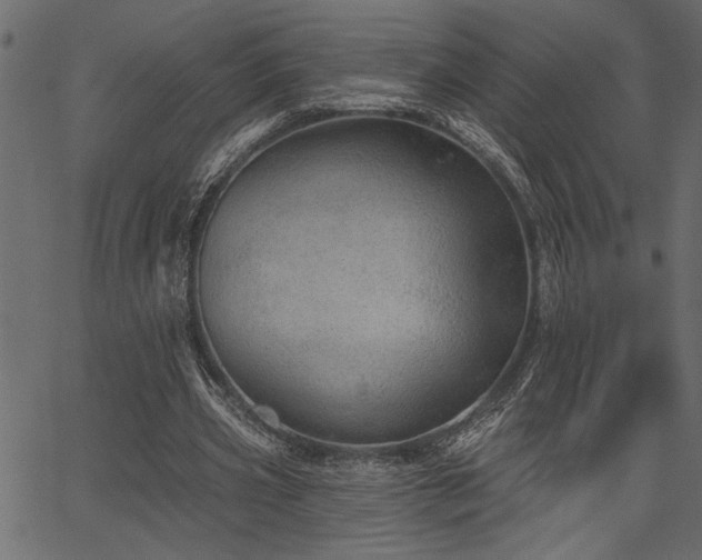 X0000067370533200603311148