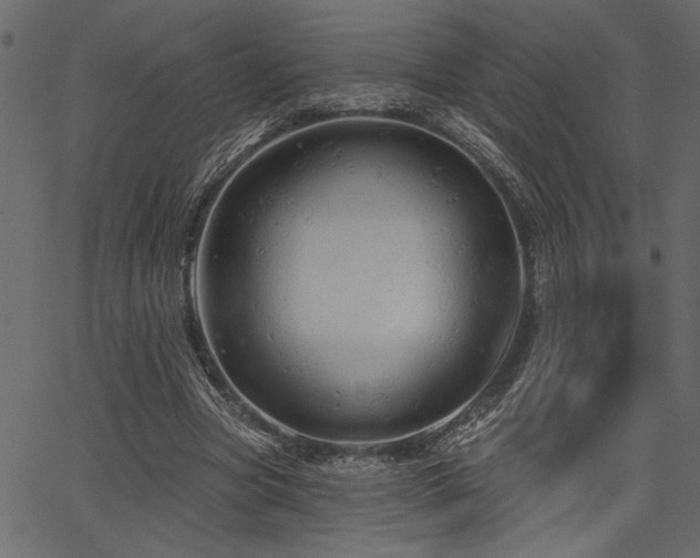 X0000067370537200603311148
