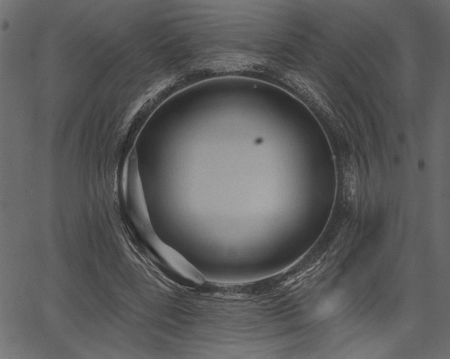 X0000067370539200603311148