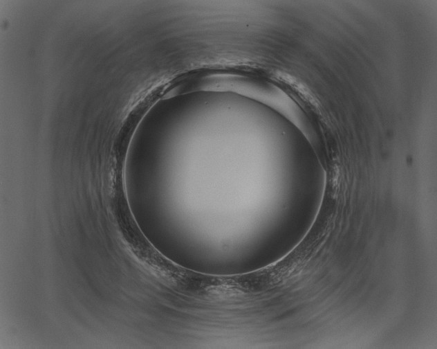 X0000067370544200603311148