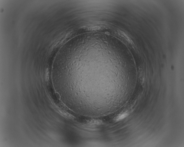 X0000067370549200603311148