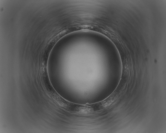 X0000067370555200603311148