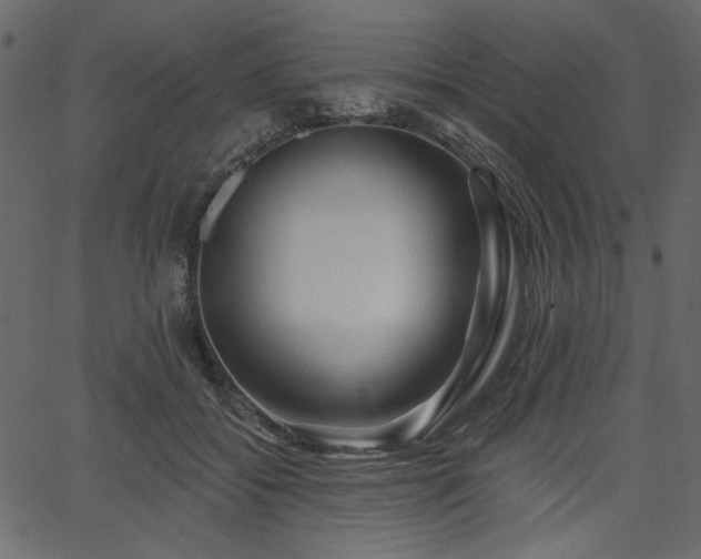 X0000067370556200603311148