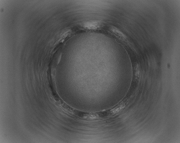 X0000067370559200603311148