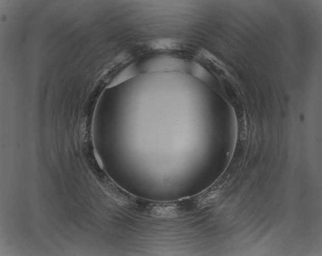 X0000067370560200603311148