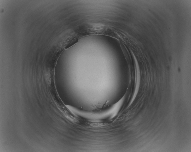 X0000067370562200603311148