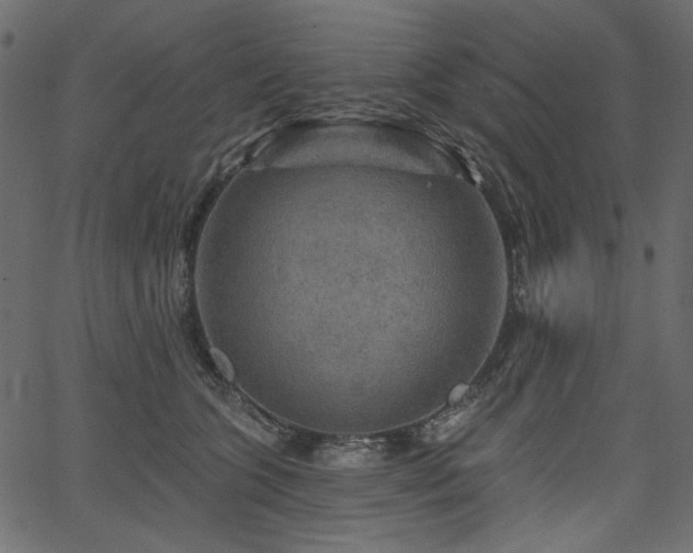 X0000067370563200603311148