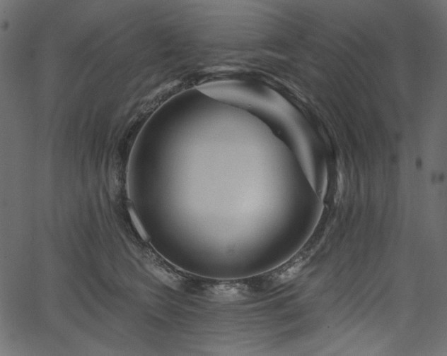X0000067370566200603311148