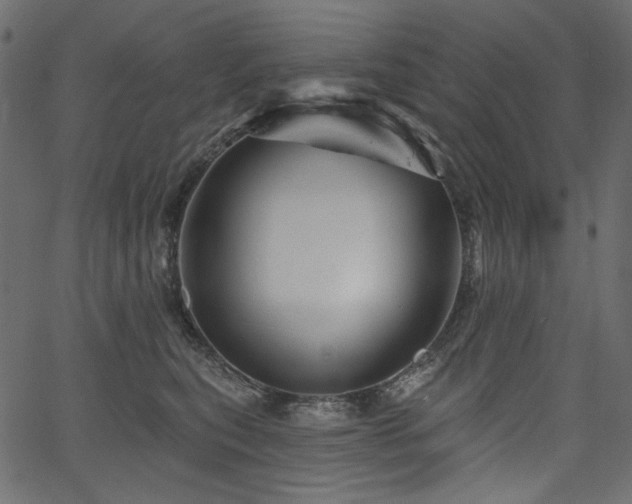 X0000067370567200603311148