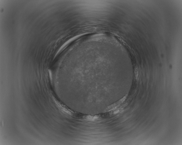 X0000067370570200603311148