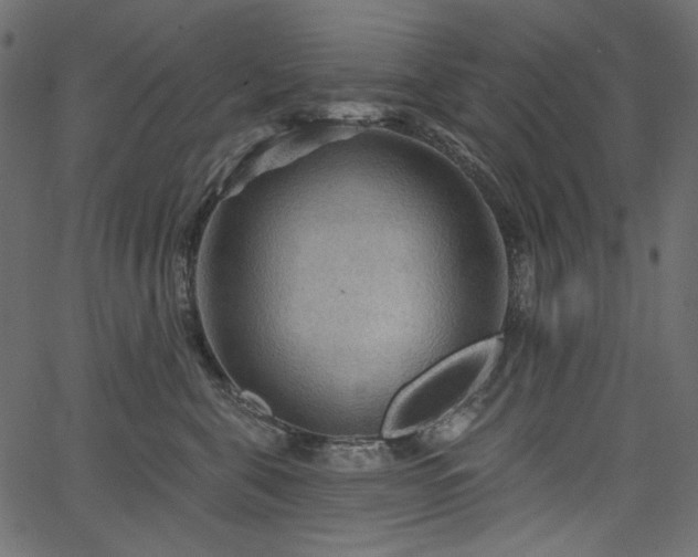 X0000067370571200603311148