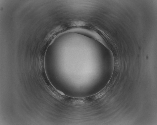 X0000067370572200603311148