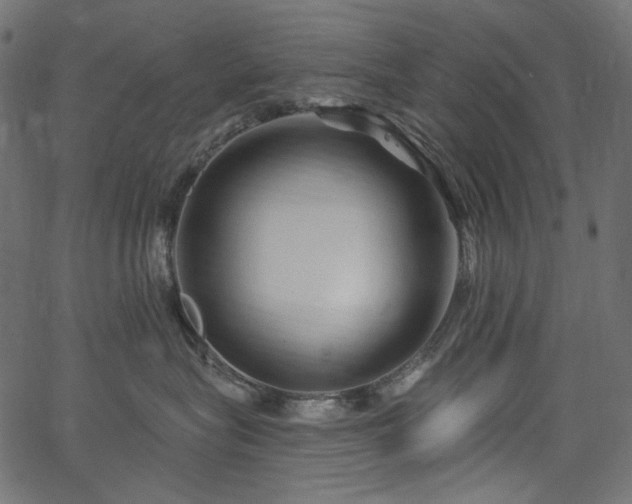 X0000067370575200603311148